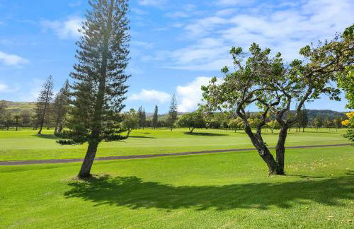 Kuilima Estates West #120 - Photo 31