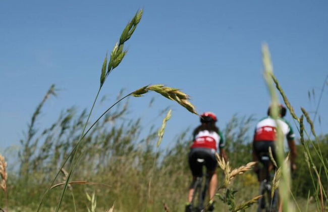 Agriturismo La Piana - Foto 50