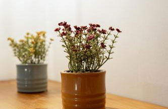 Lito2Apart - Foto 56