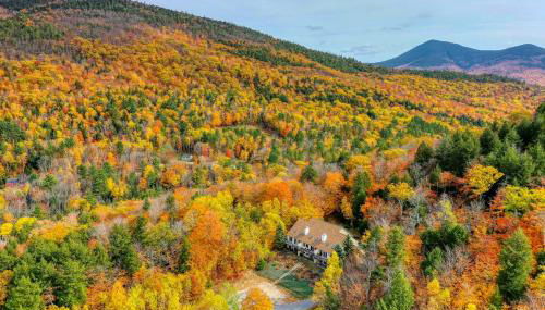 Mountain View Home - Foto 5