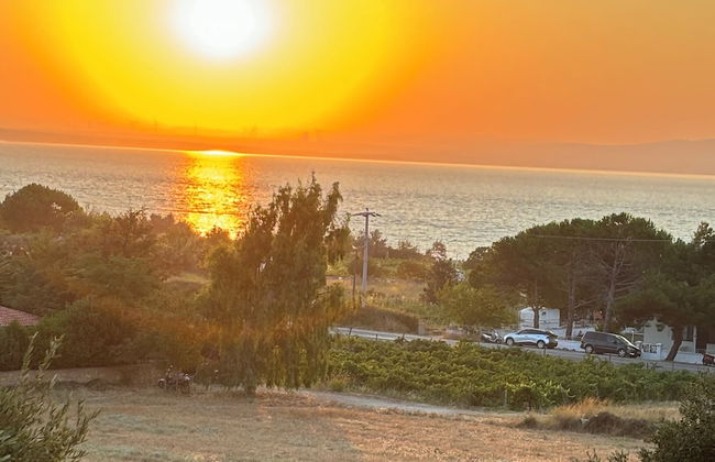 Zeus kır evi - Photo 60