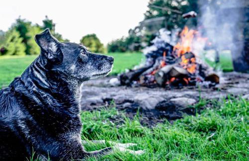 Agroturystyka u Janeckich - Foto 12