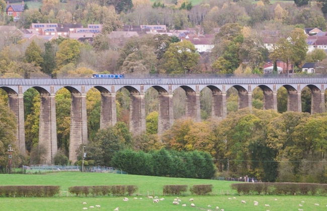 The Lower Gathering - Wrexham Town Centre - Sleeps Up To 10 - Photo 28