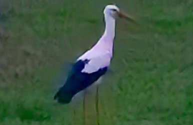 Hotel-Apartments La Strada - Foto 121