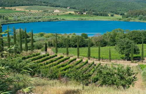 Tenuta La Tabaccaia - Foto 35