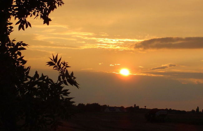 Yellow - Peter's Modern Retreat - Photo 7