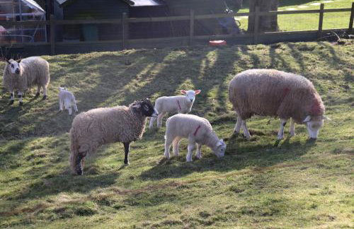 Old Camms Holiday Cottages - Photo 16
