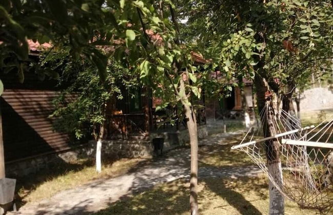 Kish Adasi - Kish Island - Foto 20