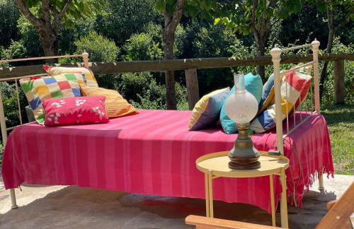 Quinta das Ameixas - Country & Nature - Foto 29