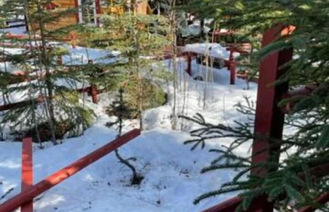 Moose Landing - Foto 46