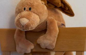 Bauernhof Süßhof - Foto 12