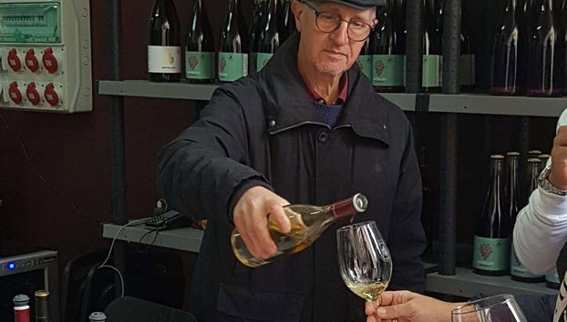 Excursión a una bodega del Priorat - Foto 5, Cata de vinos del Priorat