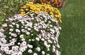 Escapada de ciudad al aire libre - Photo 35