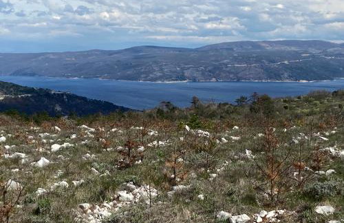 Apartment Lucie - Foto 46