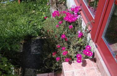 A Casa do Buxo - Foto 17