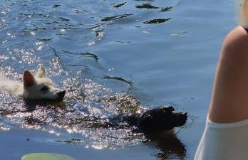 Różany Domek - Foto 11