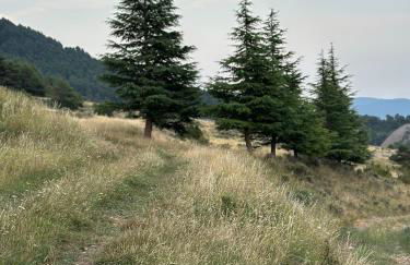 Poble Rural Puig Arnau - Pubilló - Foto 36