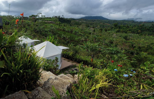 Alam Kita Glamping & Plantation - Foto 31