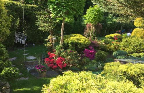 Domek i Apartamenty Zacisze - Foto 68