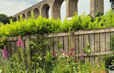 Back Lane Cottage Cornwall - Foto 33