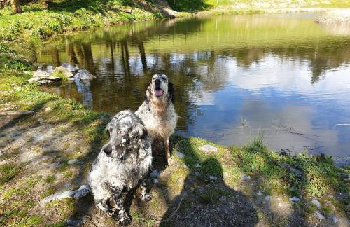 Bwthyn Briallen Crymych - Foto 16