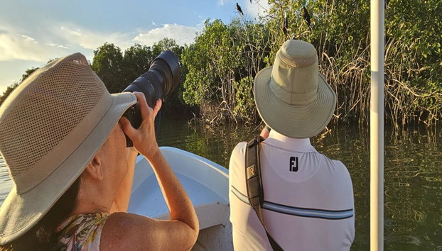 Observação de Aves e Vida Selvagem - Tour de Meio Dia - Foto 5