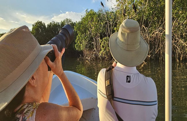 Birdwatching and Wildlife Expedition - Half-Day Tour - Photo 5