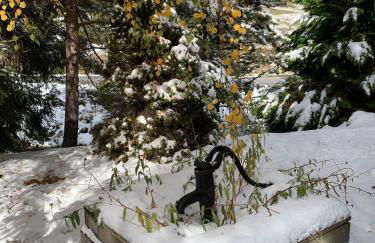 Aux trois marmottes - Chalet au pied des pistes - Foto 36