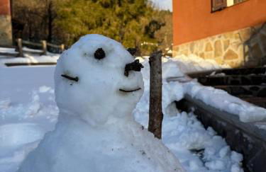 La casa nel bosco - Foto 19