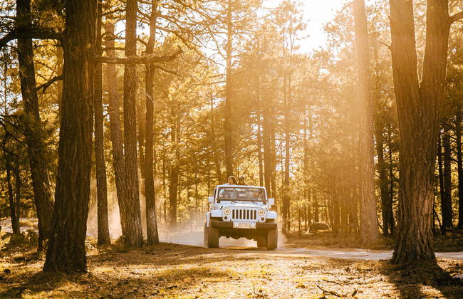 Balade en 4x4 autour de Creel - Photo 4