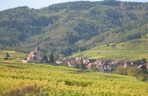 Studio chez le vigneron - Foto 11