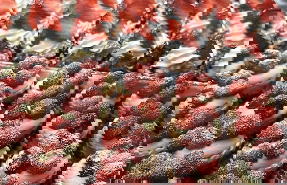 Guest House Elettra di Siracusa - Foto 44