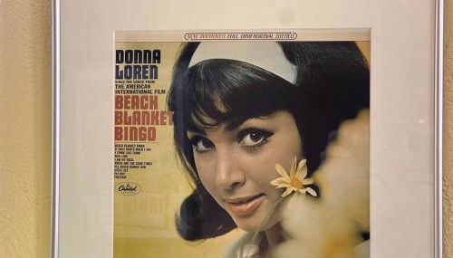 Galeria Viviente Eco Casita - Foto 3