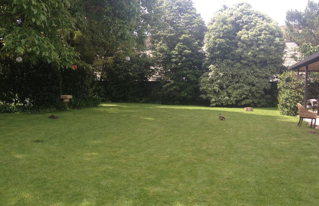 Walnut Grove Lodge - Foto 65