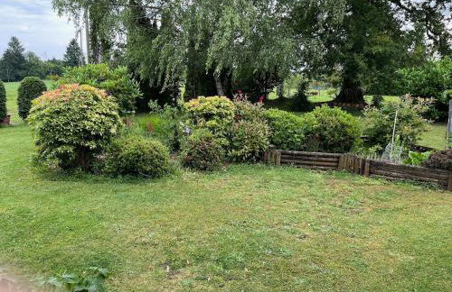 La Couade de Troche - Foto 20