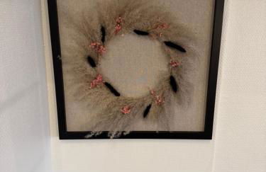 Le 305 Beauvert Parking Gratuit - Foto 20