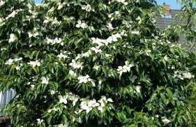 Ferienhaus Storchenweg - Foto 27