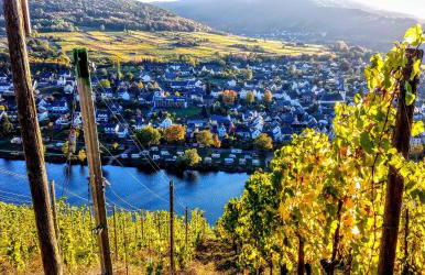 Ferienhaus Moselglück - Foto 74