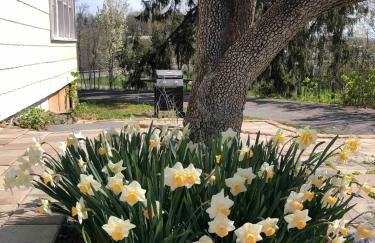 20 min Woodbury Outlet & USMA 35 min Mt Creek - Foto 38