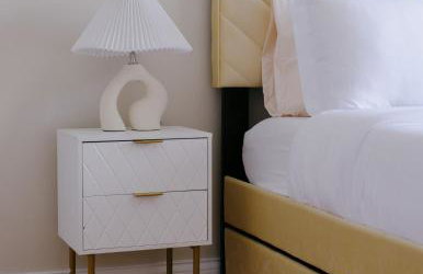 Huge Projector and Designated Workspace, Near Wrigley - Photo 9