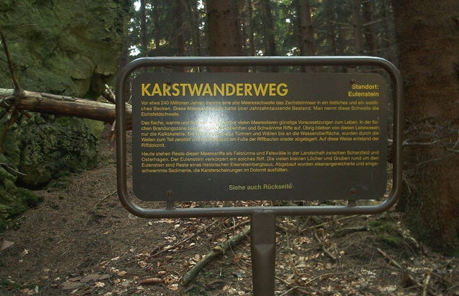 Ferienwohnung Stricker Harz - Photo 62