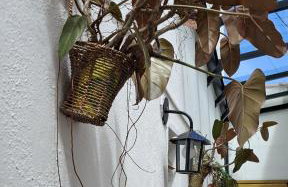 NOVO! Studio - Photo 11