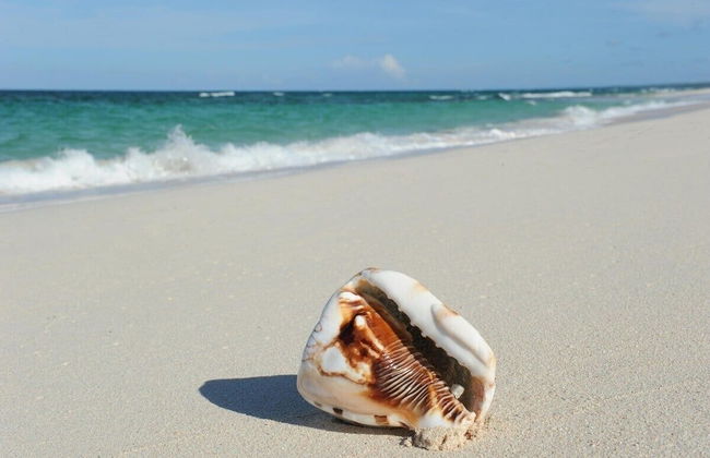 Buttonwood Reserve Main Lodge 1 Bedroom Home - Foto 22