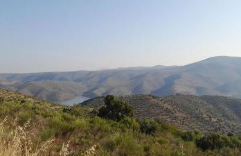 Quinta Alto da Fraga - Foto 28