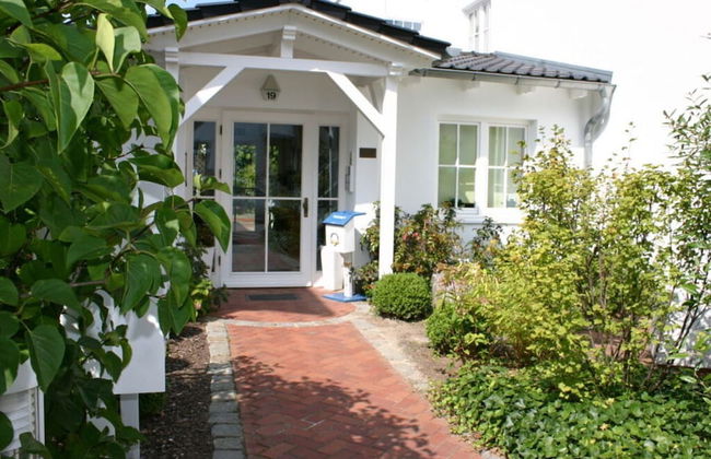 Herring Gull in the Villa Meernixe Binz - Photo 21