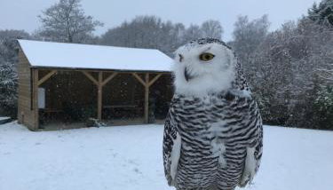 Bird Nest - dine with the eagles Private Retreat - Foto 3