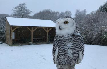 Bird Nest - dine with the eagles Private Retreat - Foto 3