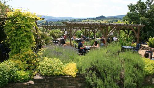 The Castle Hotel - Foto 4, Garden