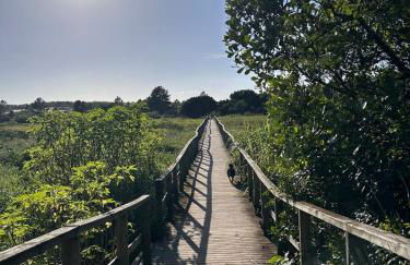 Casa perto da praia - Norte da Ilha - Foto 18