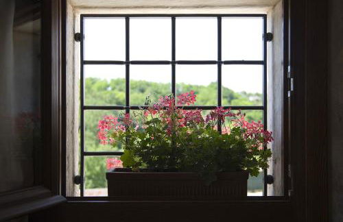 Agriturismo Althea - Foto 18